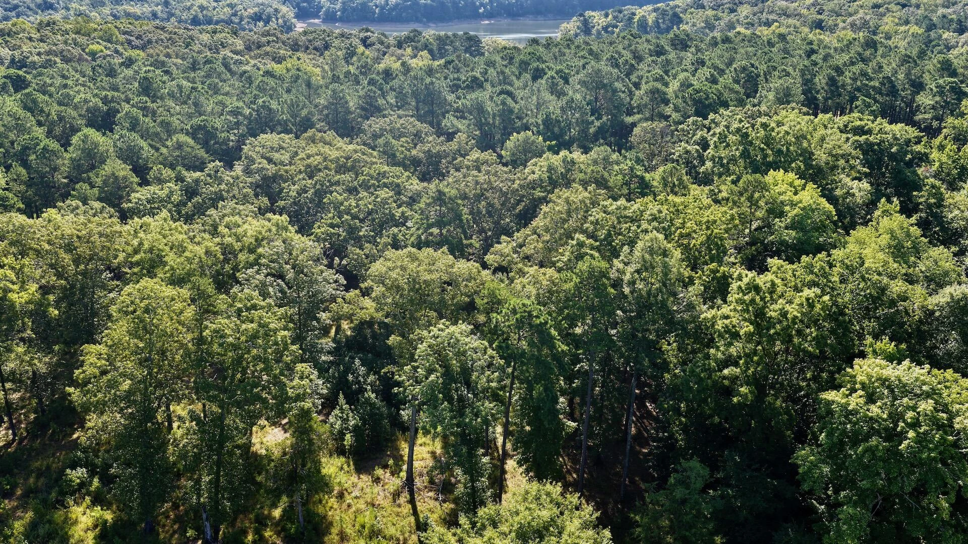 0 Lewis Mill RD - Photo 15