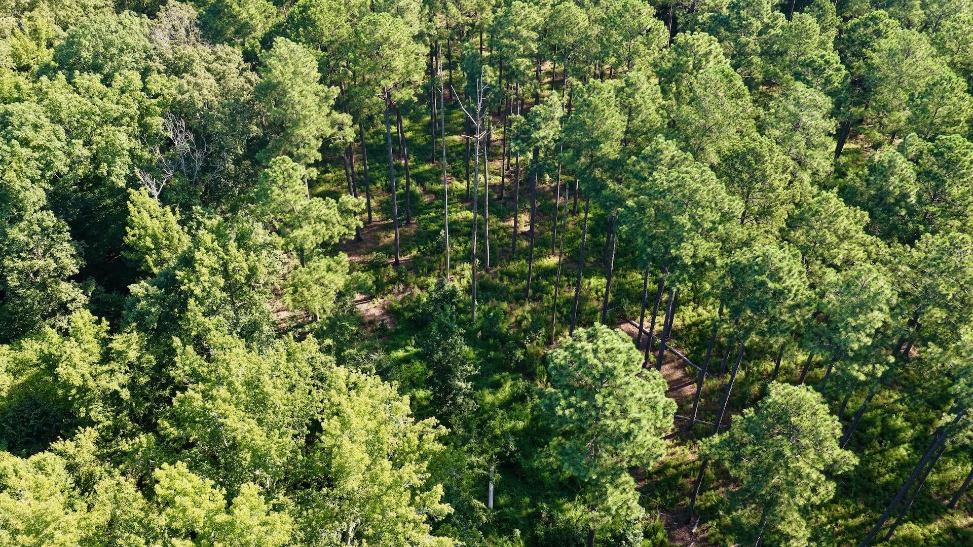 0 Lewis Mill RD - Photo 23