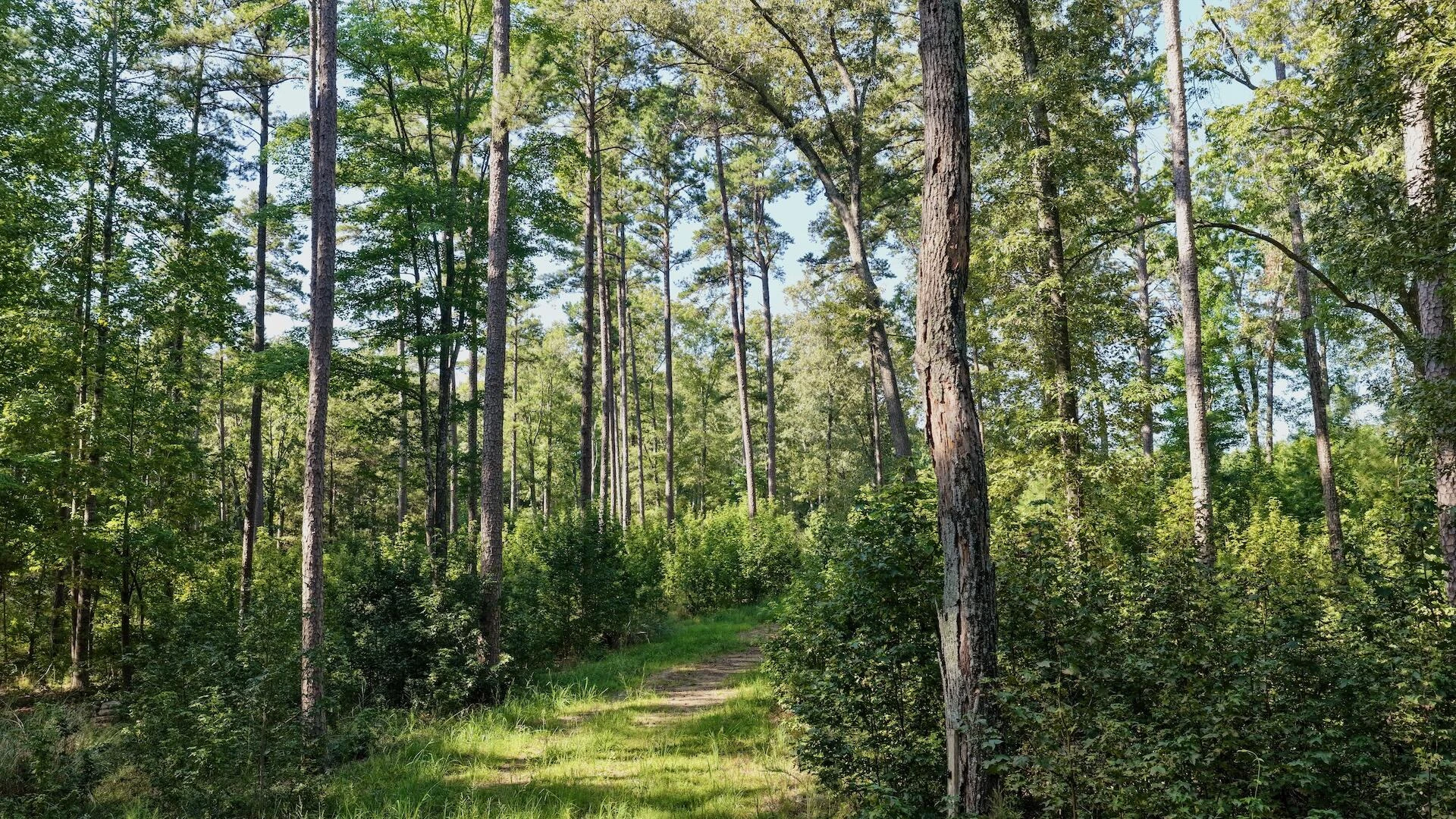 0 Lewis Mill RD - Photo 25