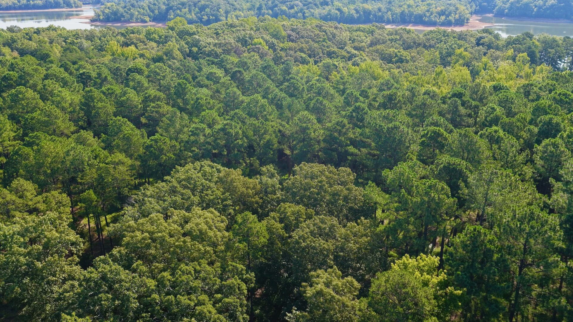 0 Lewis Mill RD - Photo 32