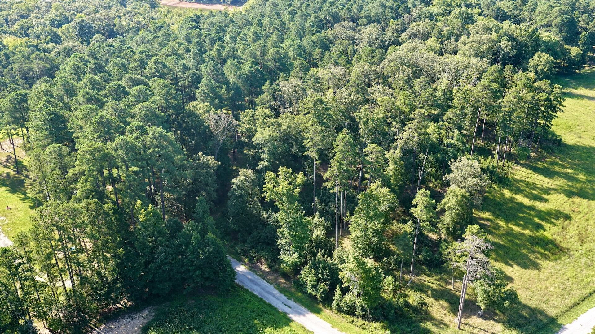 0 Lewis Mill RD - Photo 35