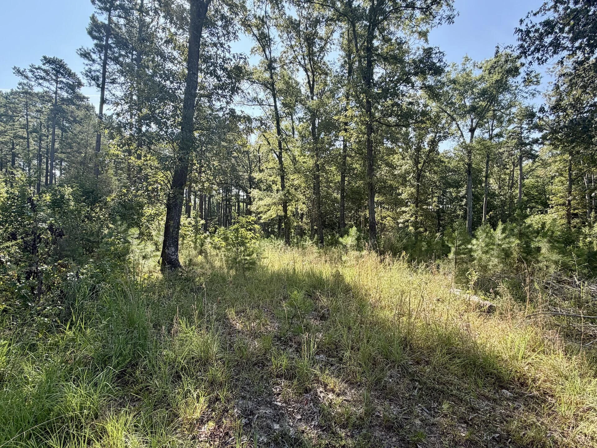 0 Lewis Mill RD - Photo 38