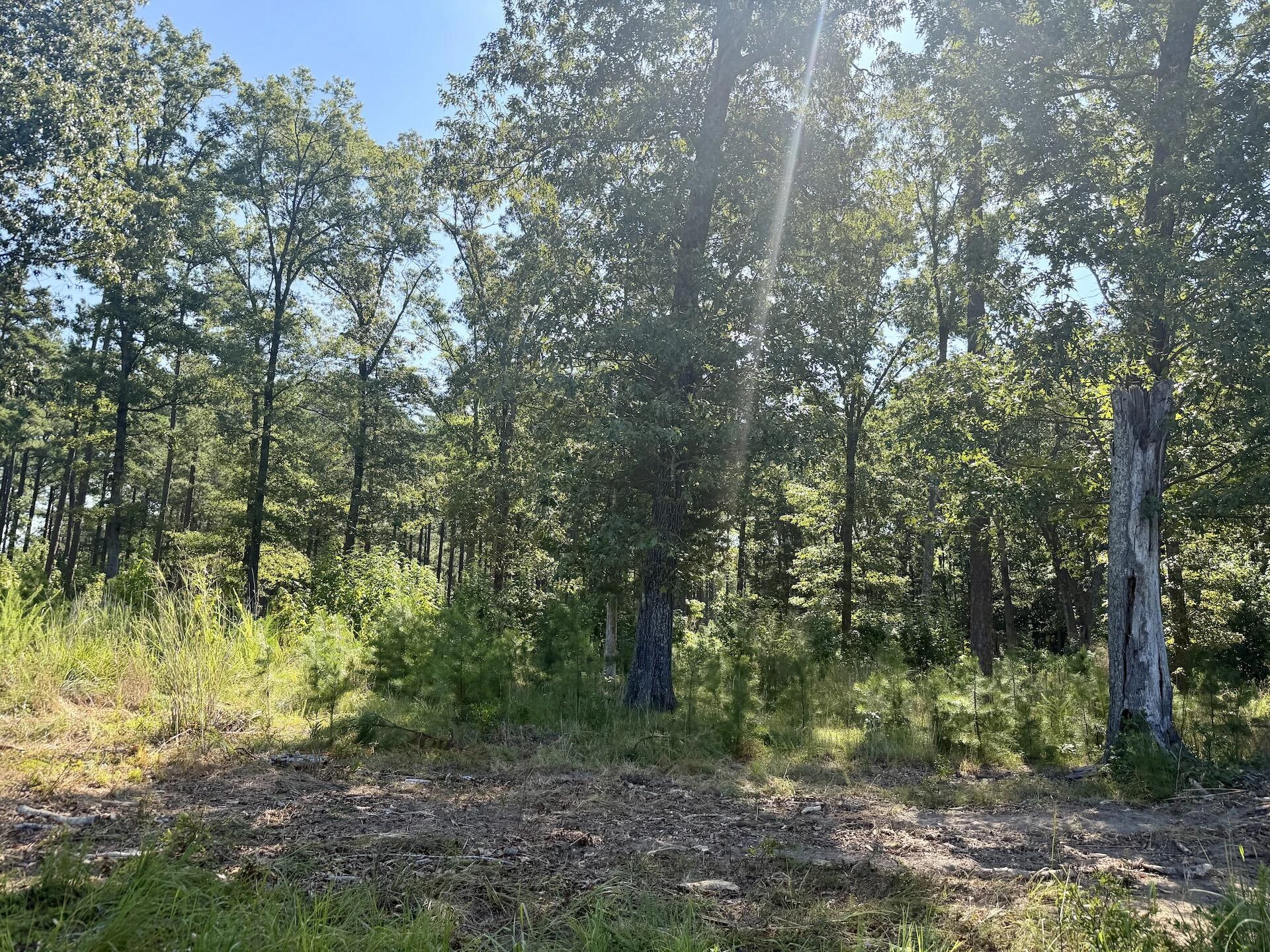 0 Lewis Mill RD - Photo 39