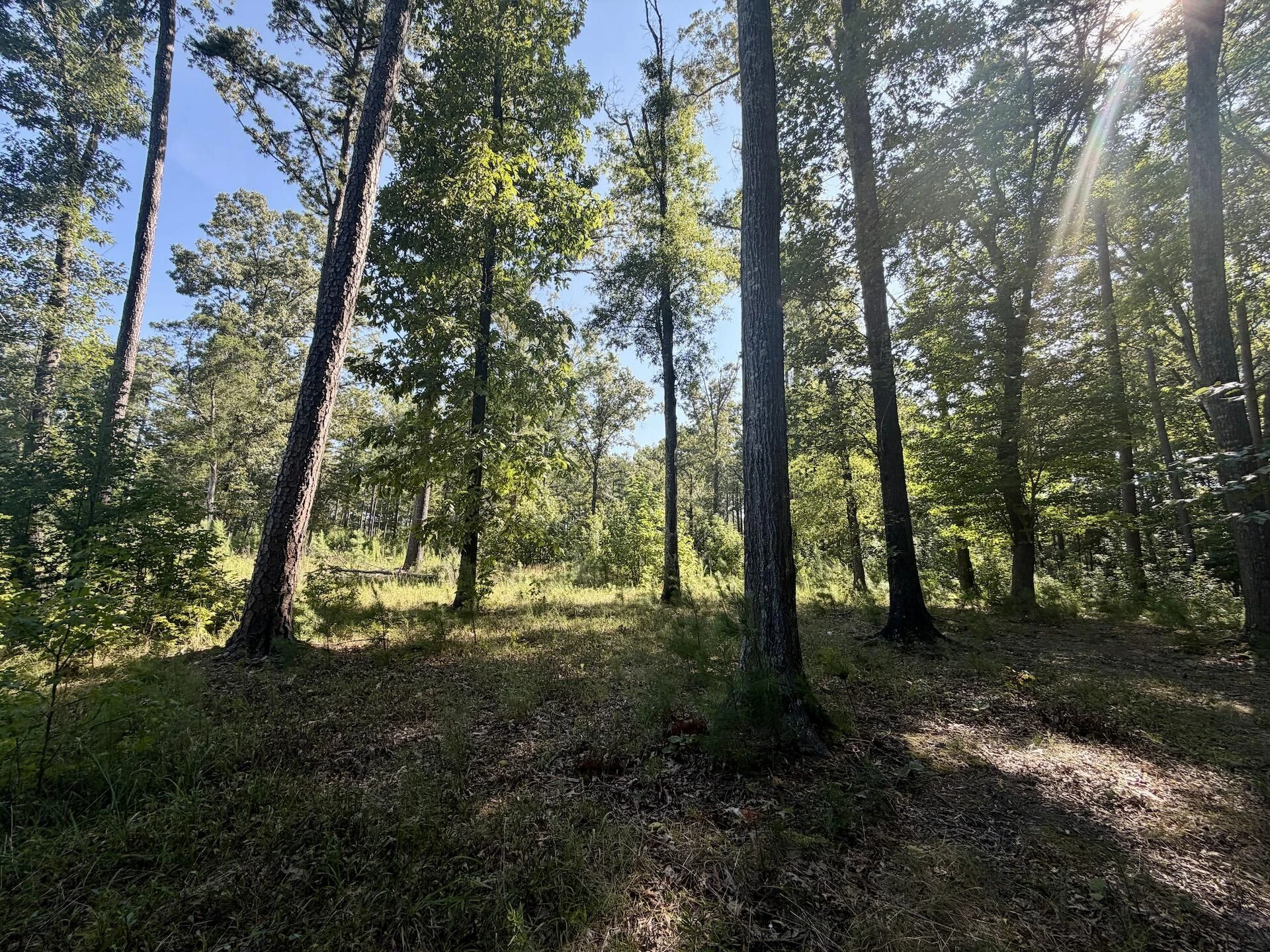 0 Lewis Mill RD - Photo 40