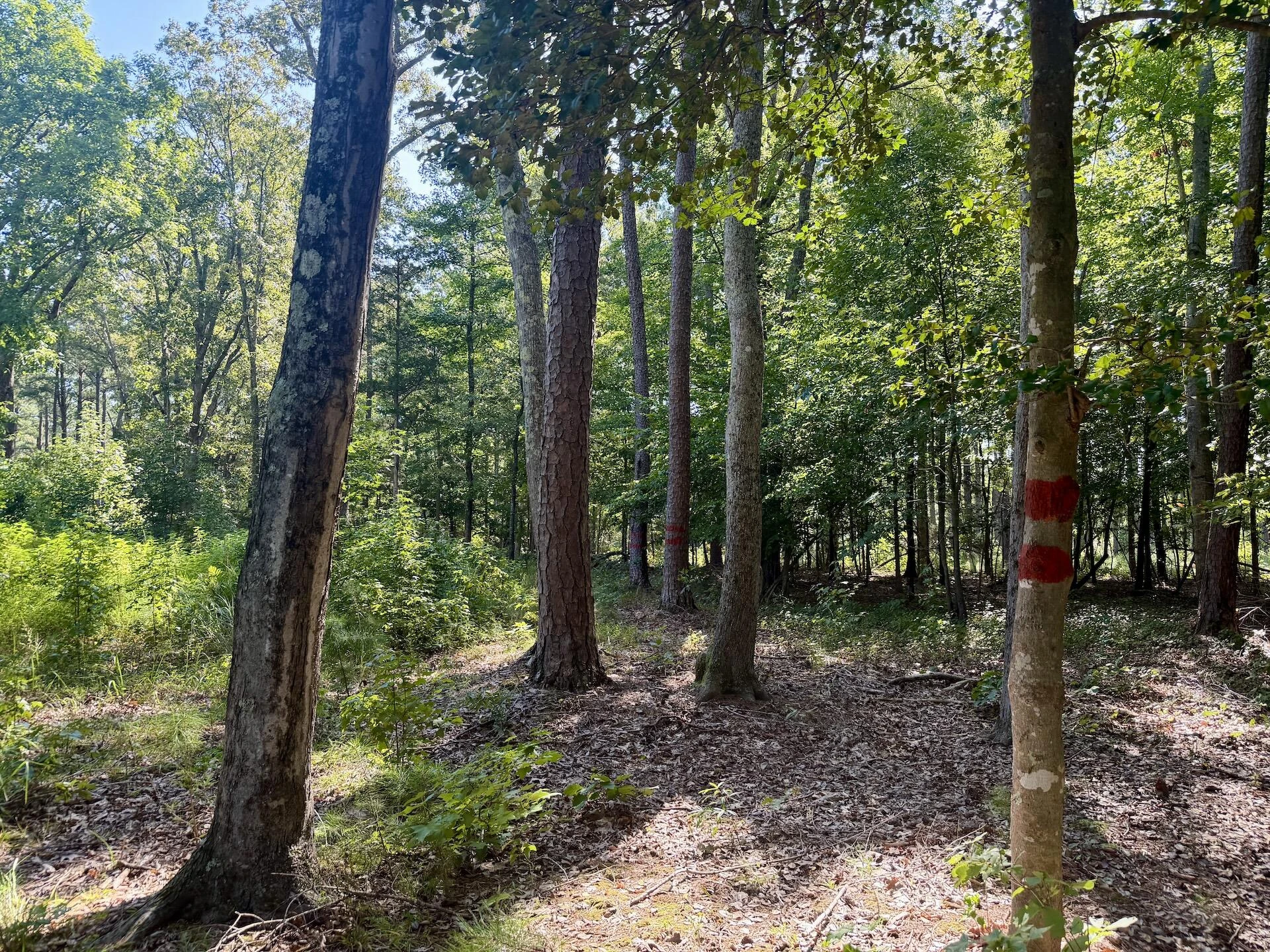 0 Lewis Mill RD - Photo 41