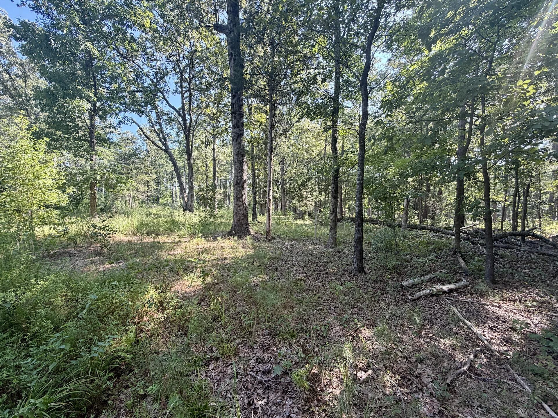 0 Lewis Mill RD - Photo 42