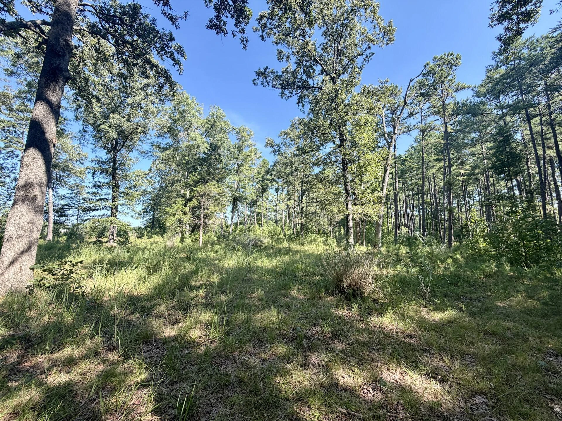 0 Lewis Mill RD - Photo 44