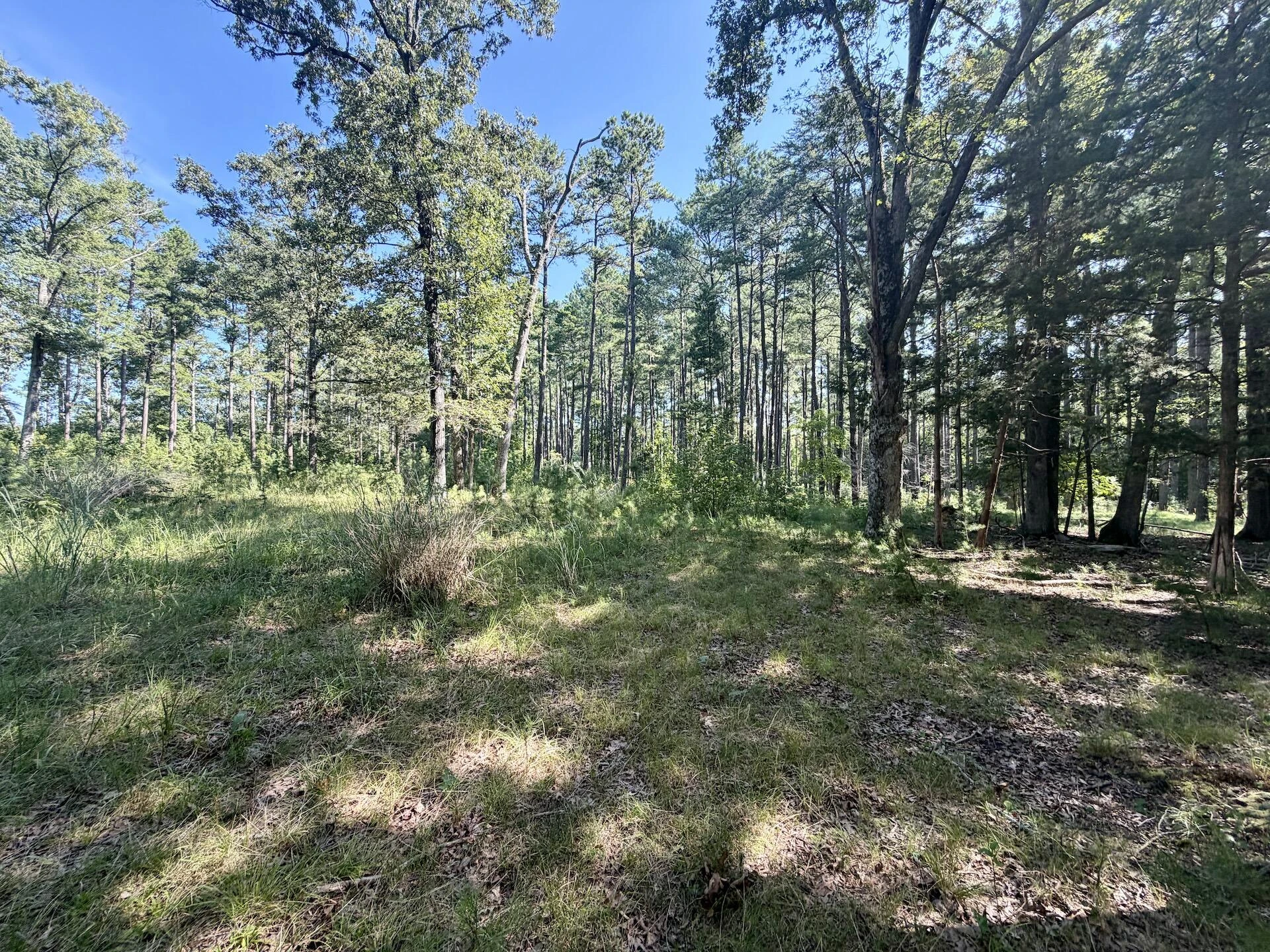 0 Lewis Mill RD - Photo 45