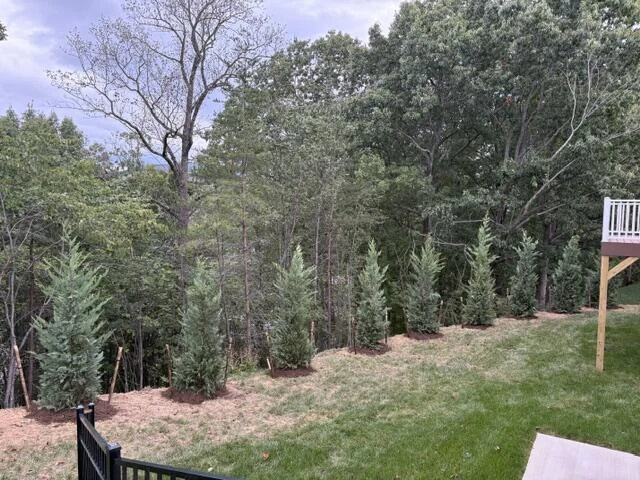 209 Northern TRL - Photo 8