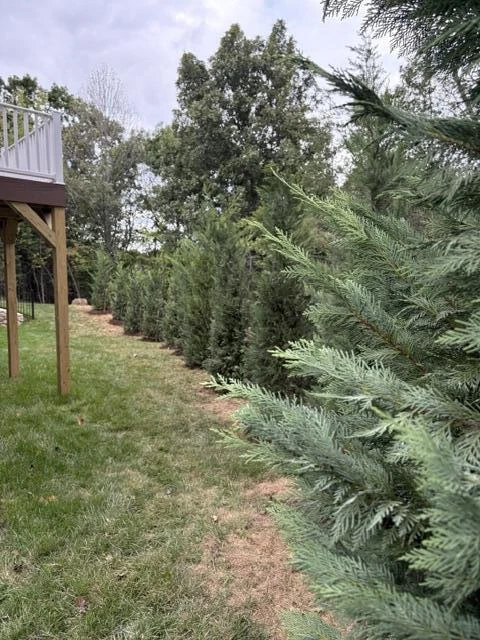 209 Northern TRL - Photo 10