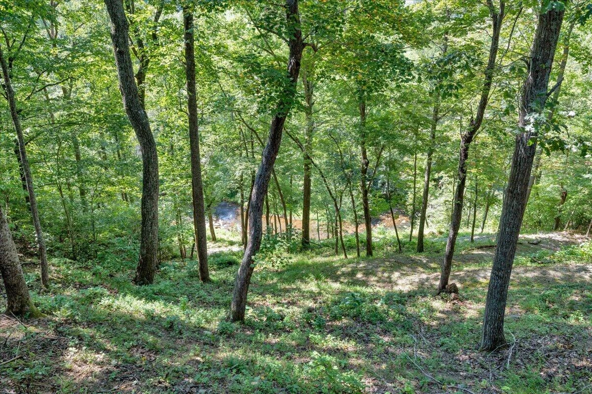 84 Revolution RD - Photo 55