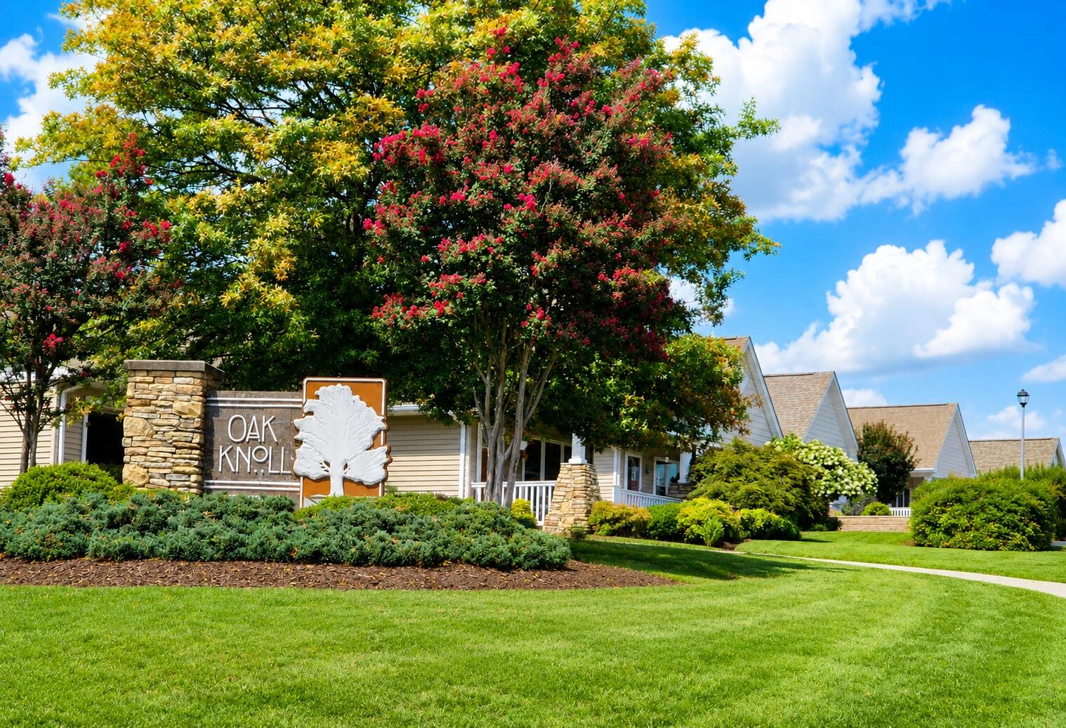 8135 Golden Oak LN - Photo 2
