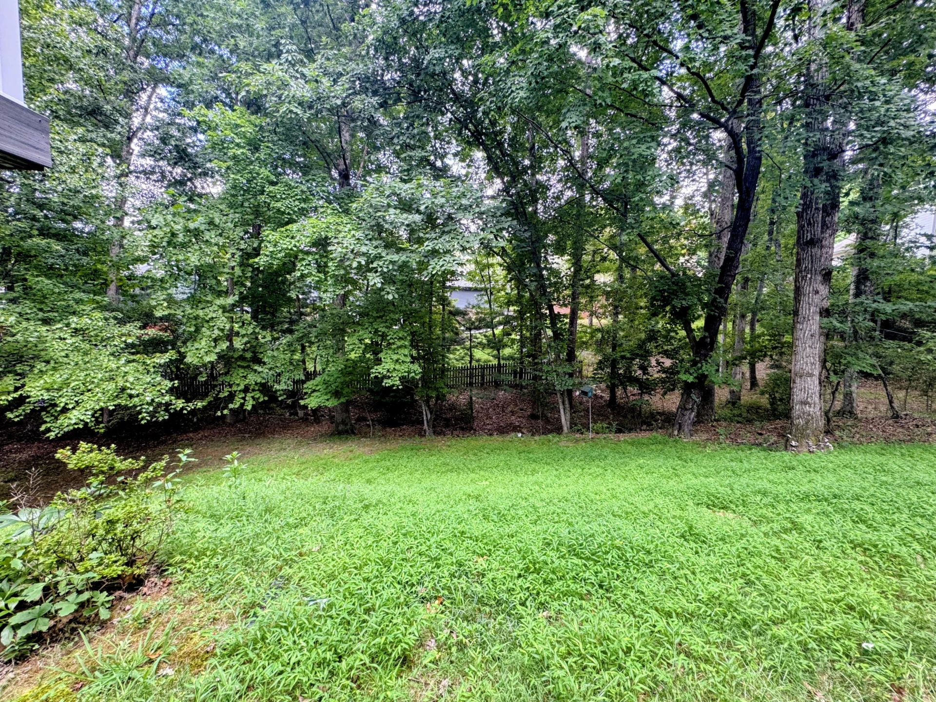 4220 Kings Court DR - Photo 43