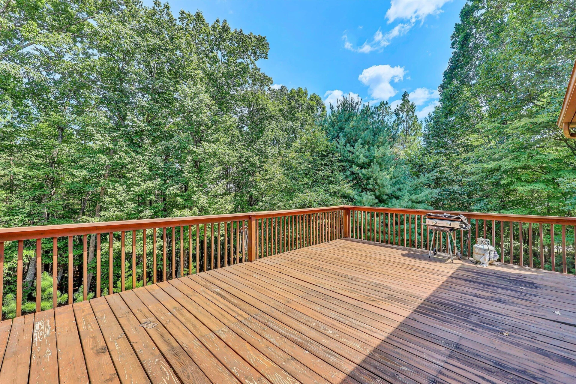 246 Frank Wilson AVE - Photo 17