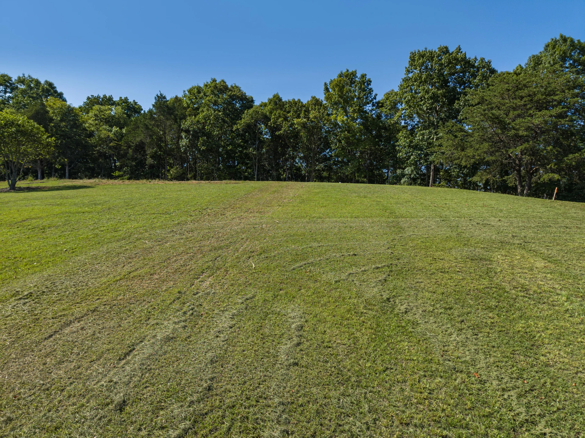 2057 Davis Run - Photo 6