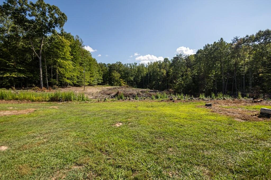 209 Flanigan Branch RD - Photo 25