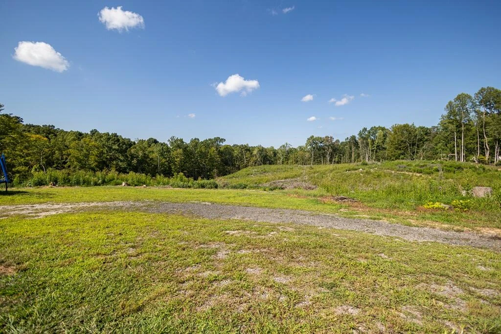 209 Flanigan Branch RD - Photo 26