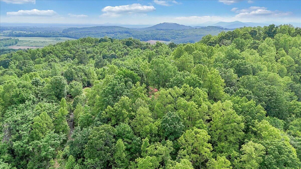 1466 Oak Ridge Farm RD - Photo 52