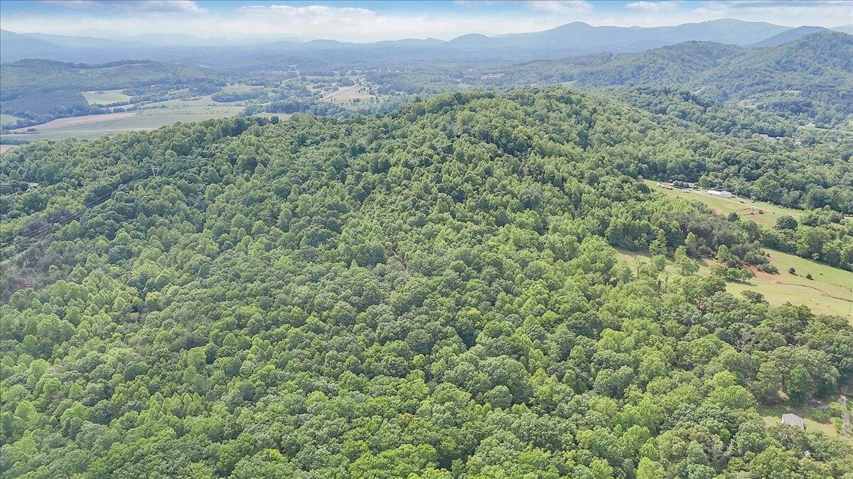 1466 Oak Ridge Farm RD - Photo 55