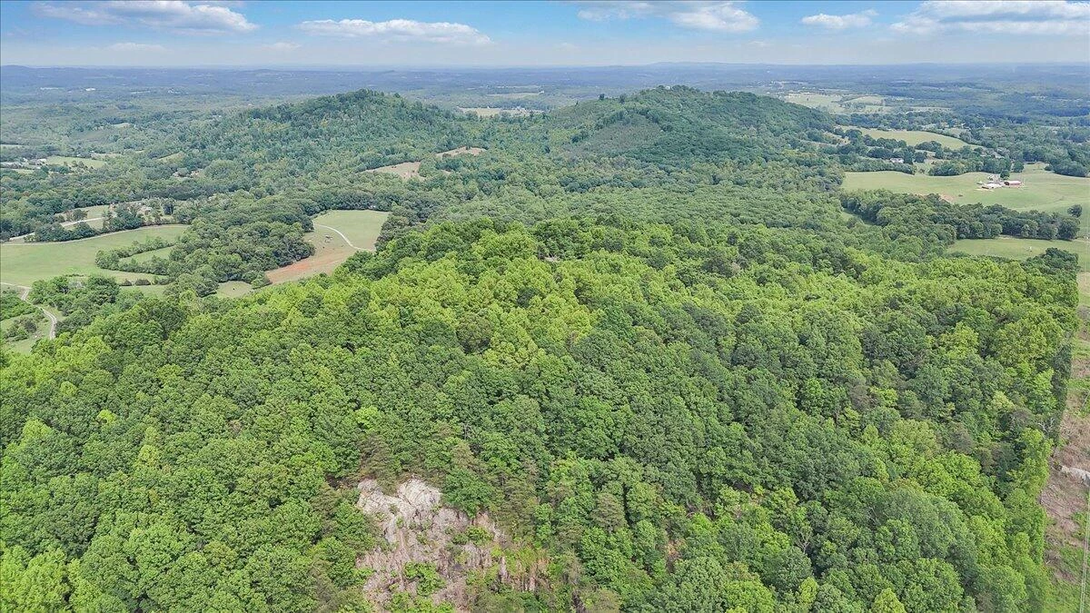 1466 Oak Ridge Farm RD - Photo 60