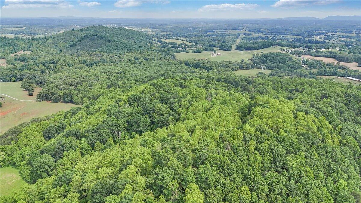 1466 Oak Ridge Farm RD - Photo 61