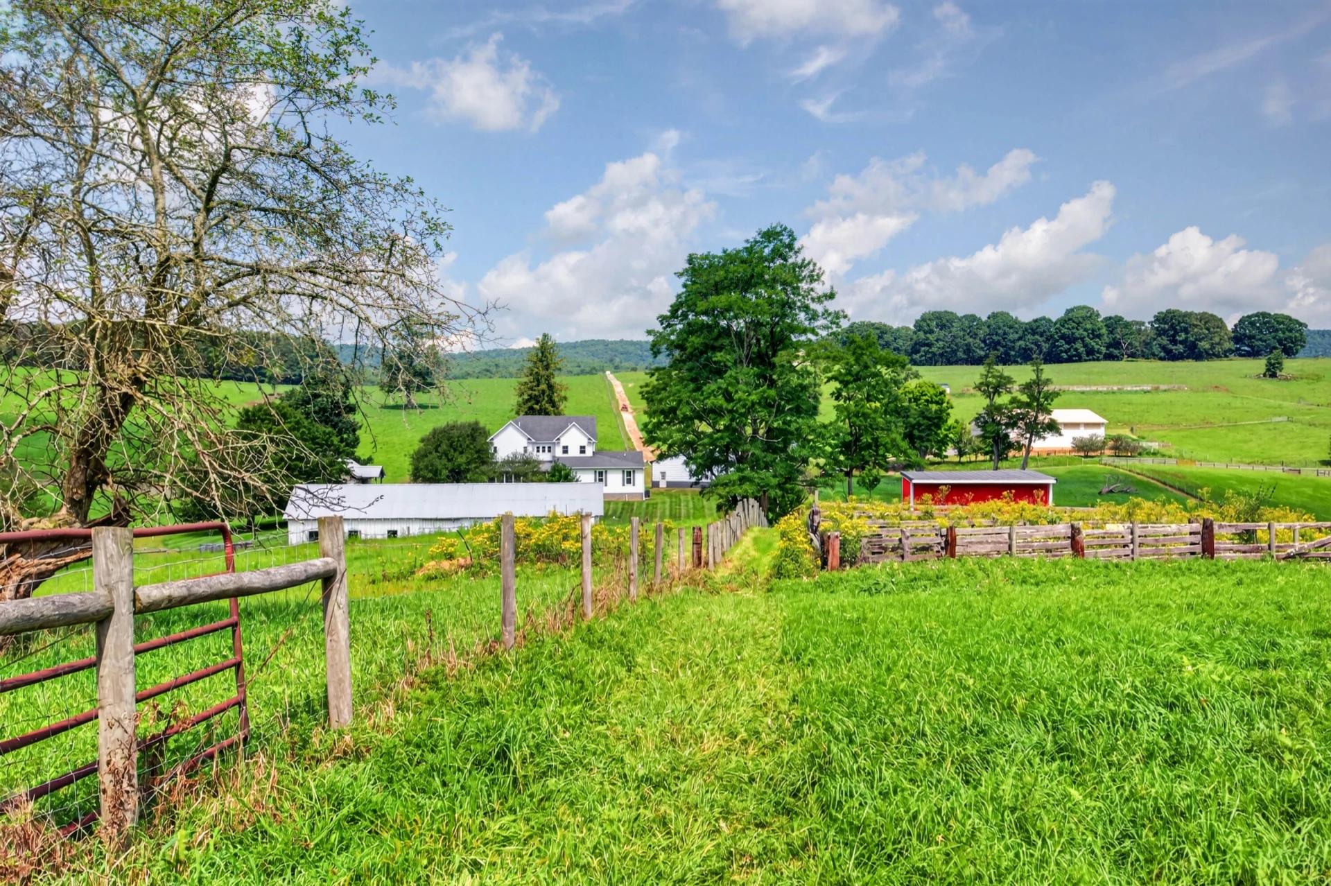 743 Crocketts Cove RD - Photo 133