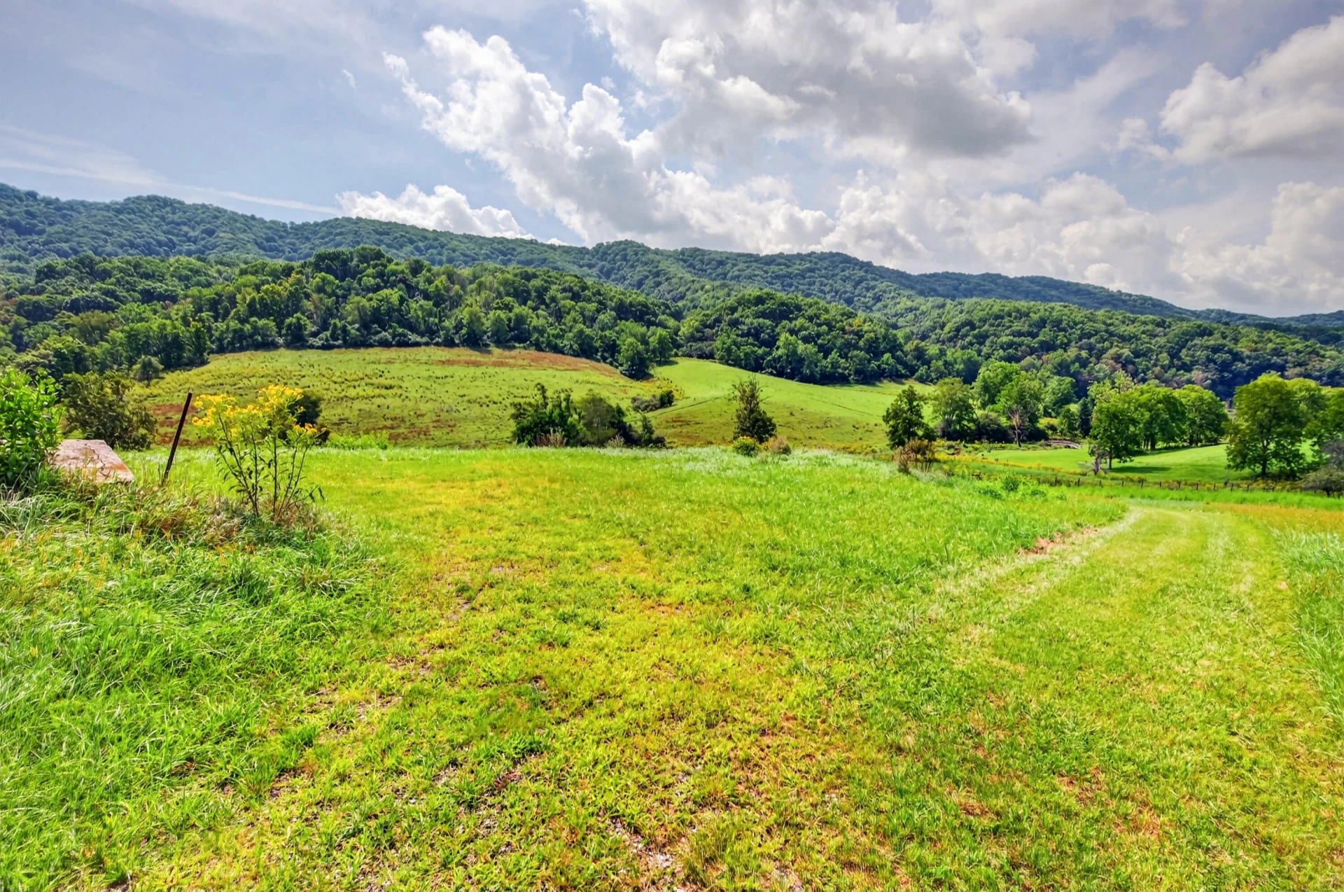743 Crocketts Cove RD - Photo 136