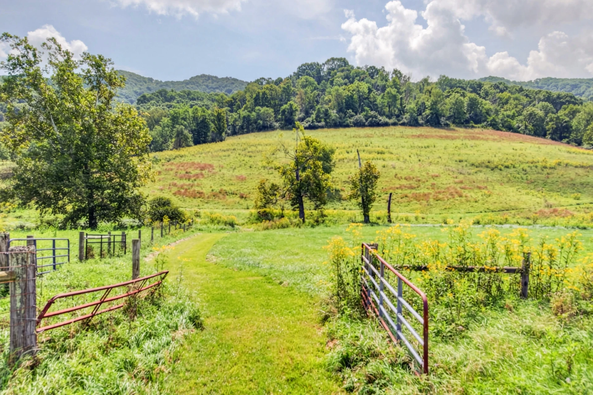 743 Crocketts Cove RD - Photo 142