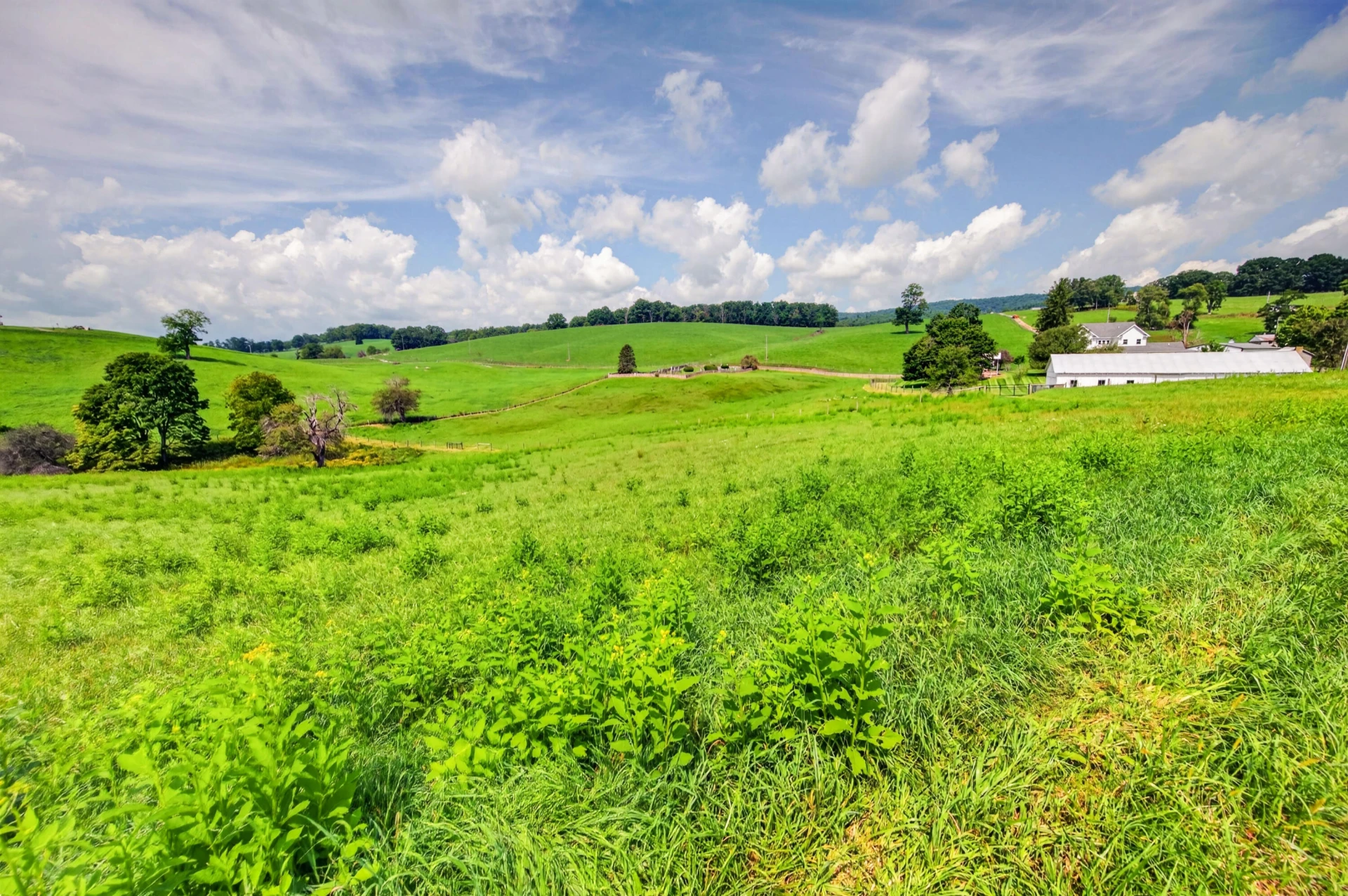 743 Crocketts Cove RD - Photo 150