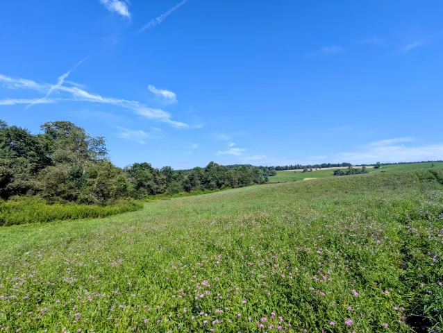 Lot 1 Floyd Hwy N, Floyd, VA, 24091