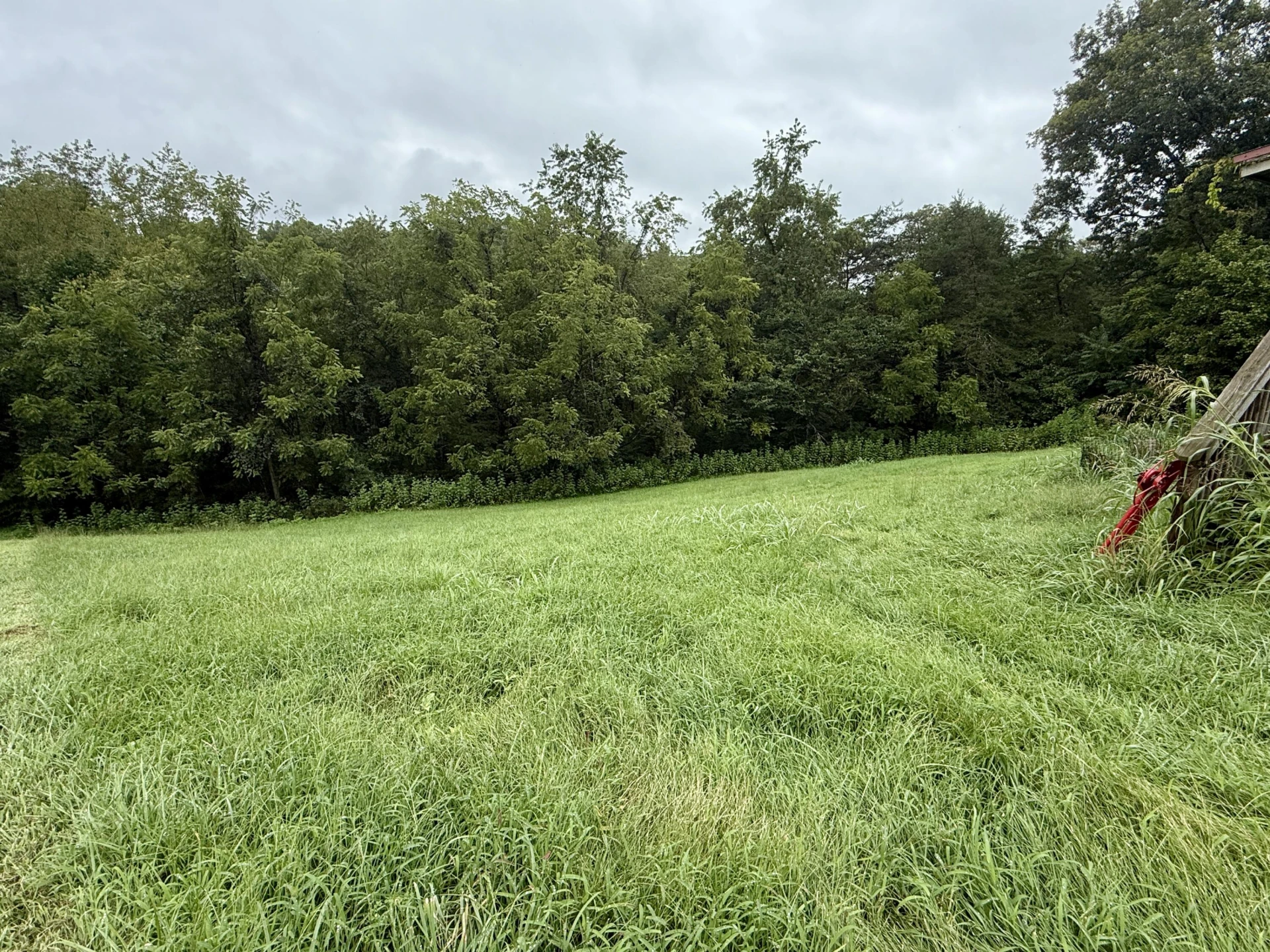 319 Byrnes ST - Photo 2