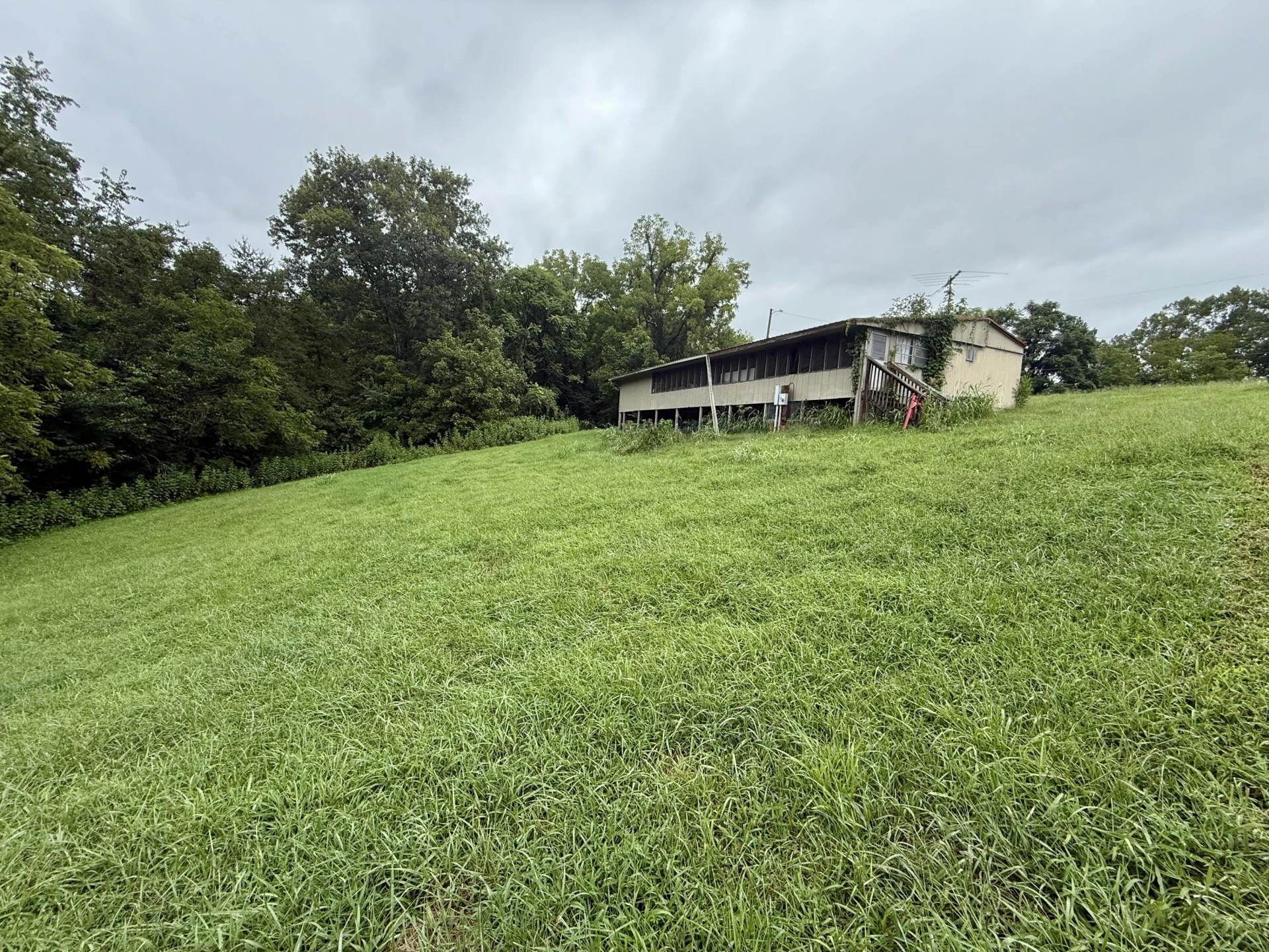 319 Byrnes ST - Photo 14