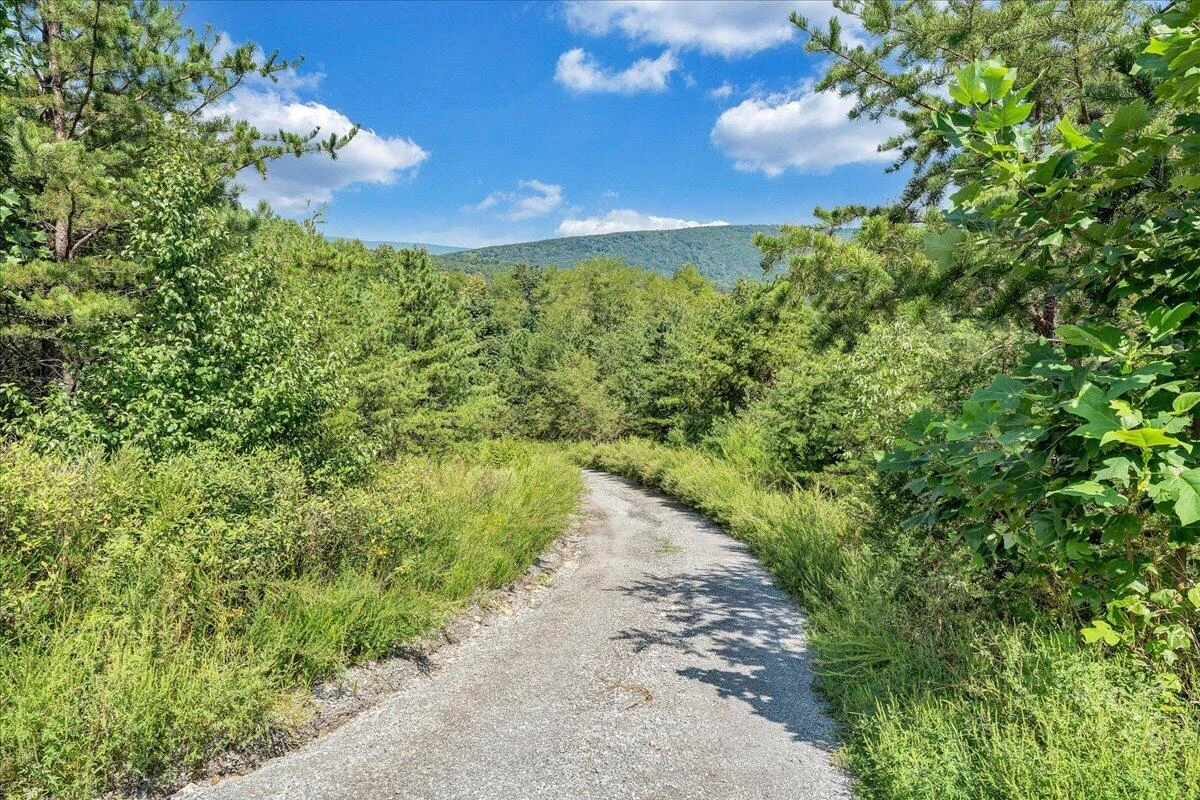 1010 Craig Woods RD - Photo 51