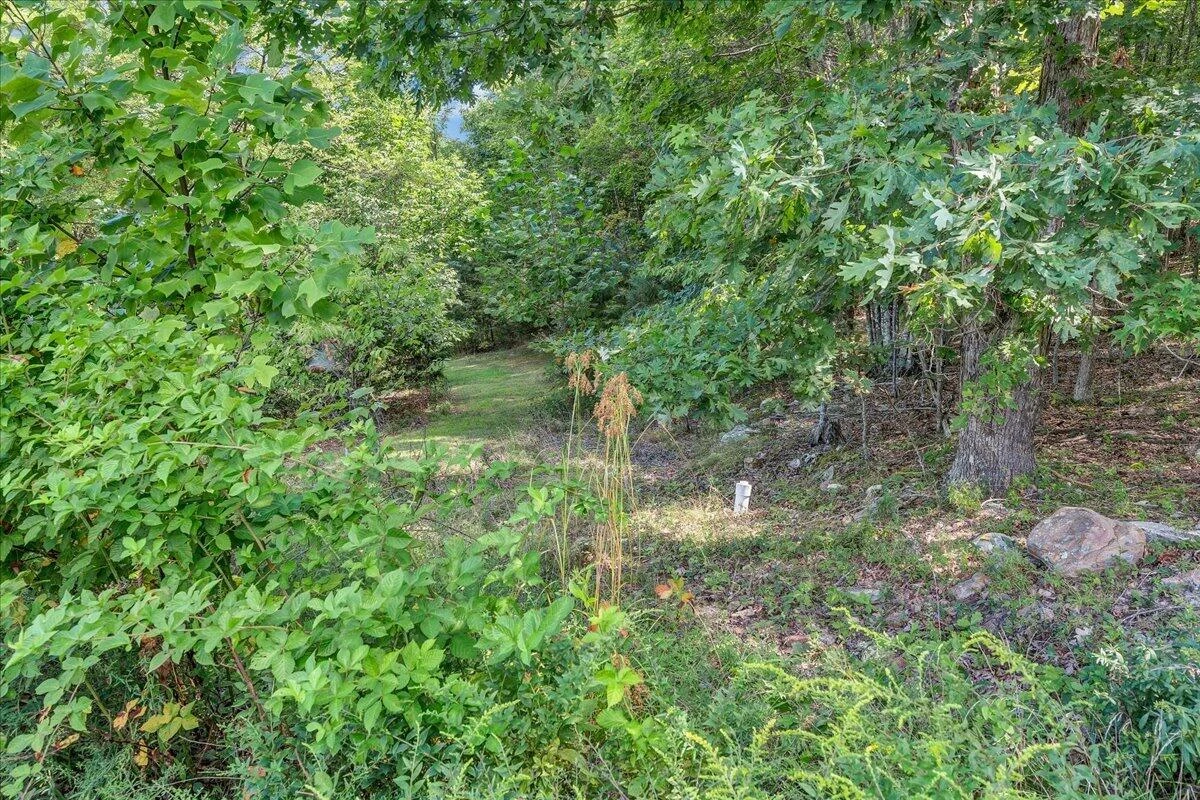 1010 Craig Woods RD - Photo 52