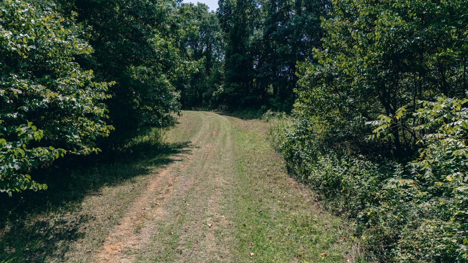 366 Beecher LN - Photo 14