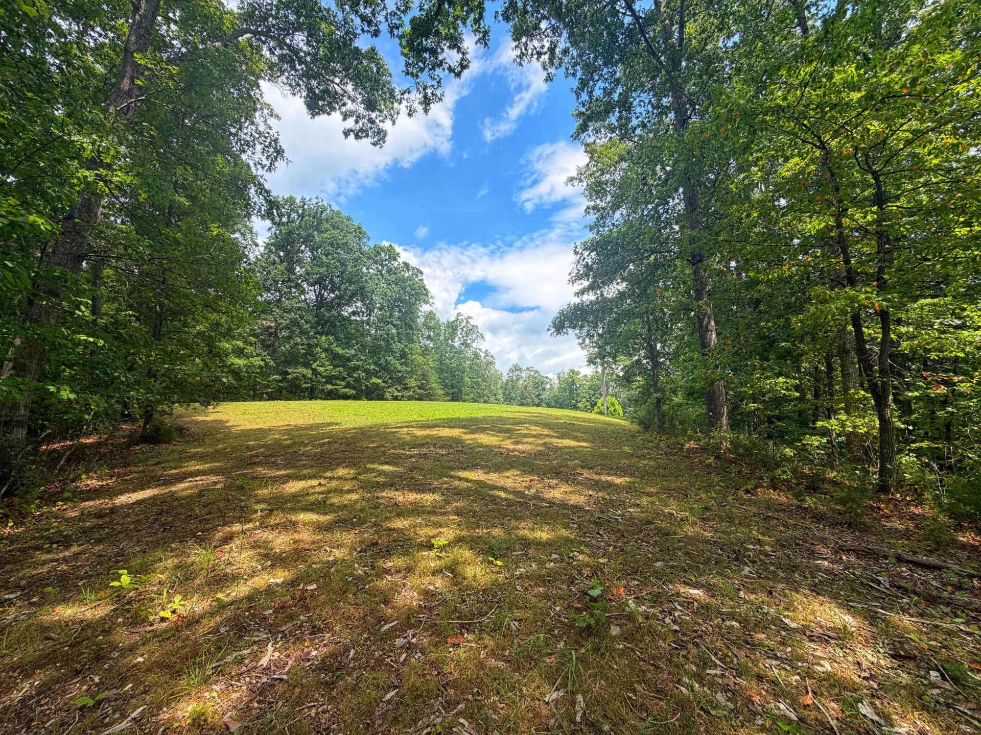 366 Beecher LN - Photo 19