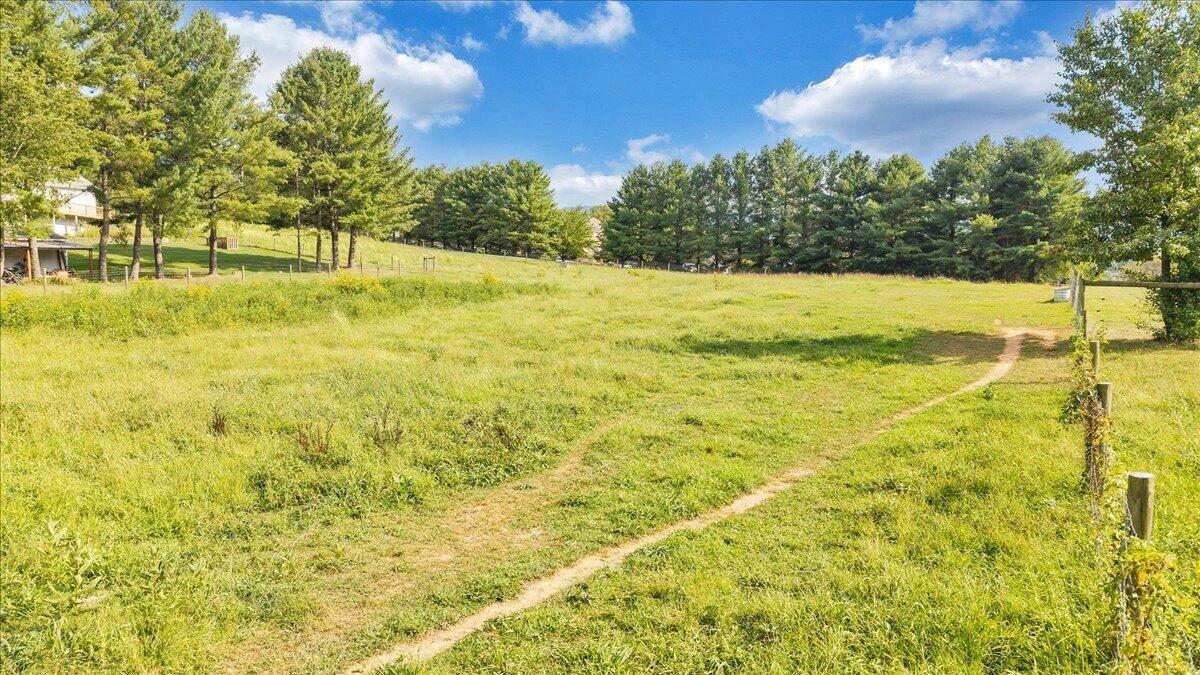 1503 Laymantown RD - Photo 87