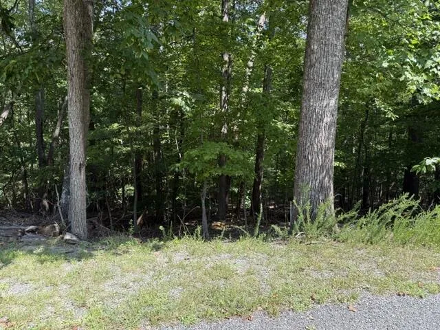 0 Fields AVE, Blue Ridge, VA, 24064