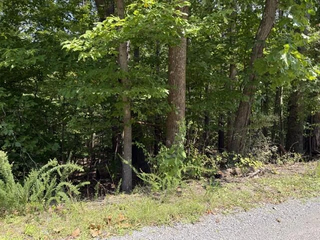 0 Fields AVE - Photo 2