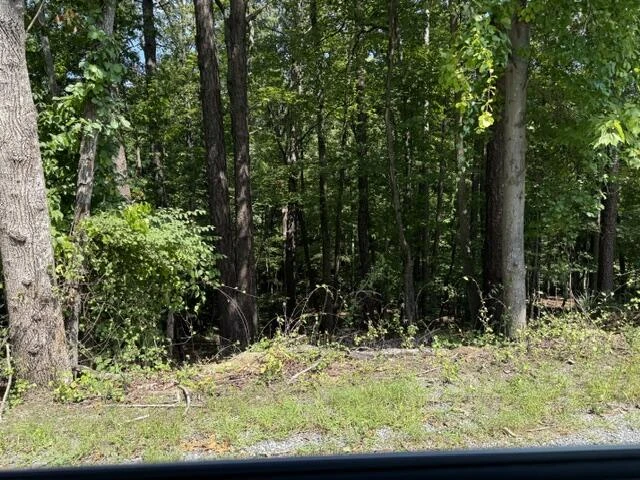 0 Fields AVE - Photo 3