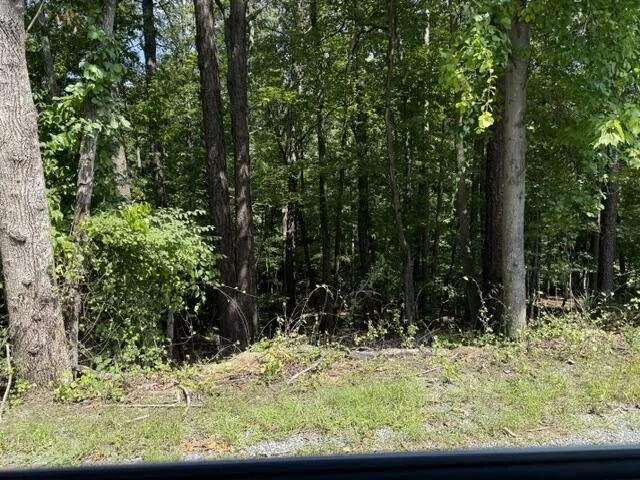 00 Fields AVE, Blue Ridge, VA, 24064