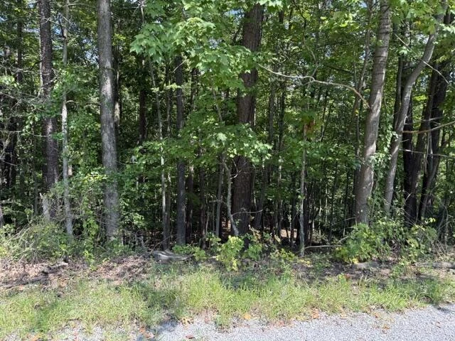 00 Fields AVE - Photo 2