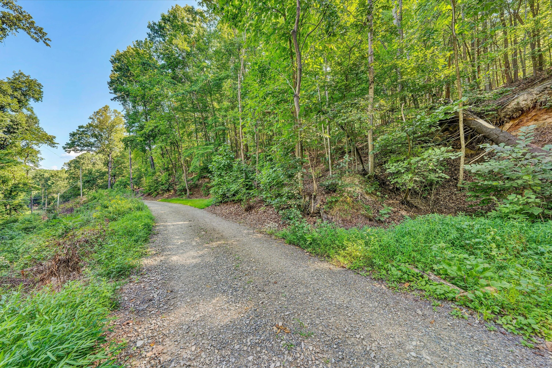 0 Allie LN - Photo 2