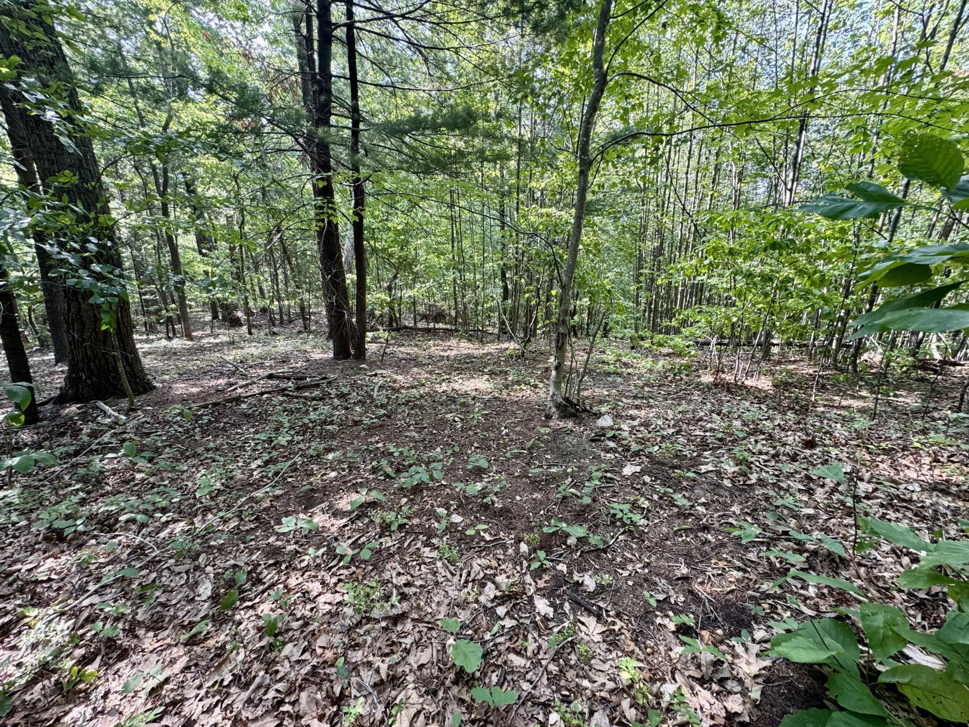 0 Allie LN - Photo 8