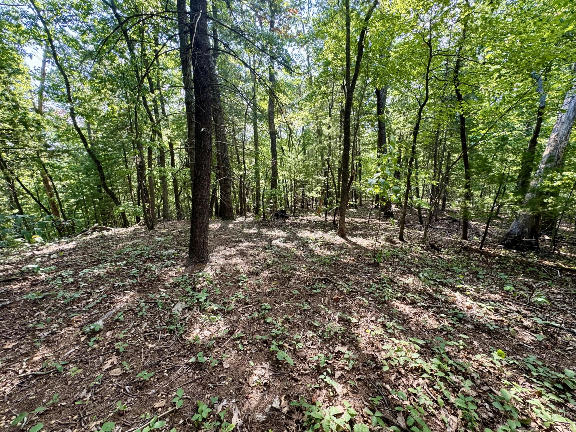 0 Allie LN - Photo 9