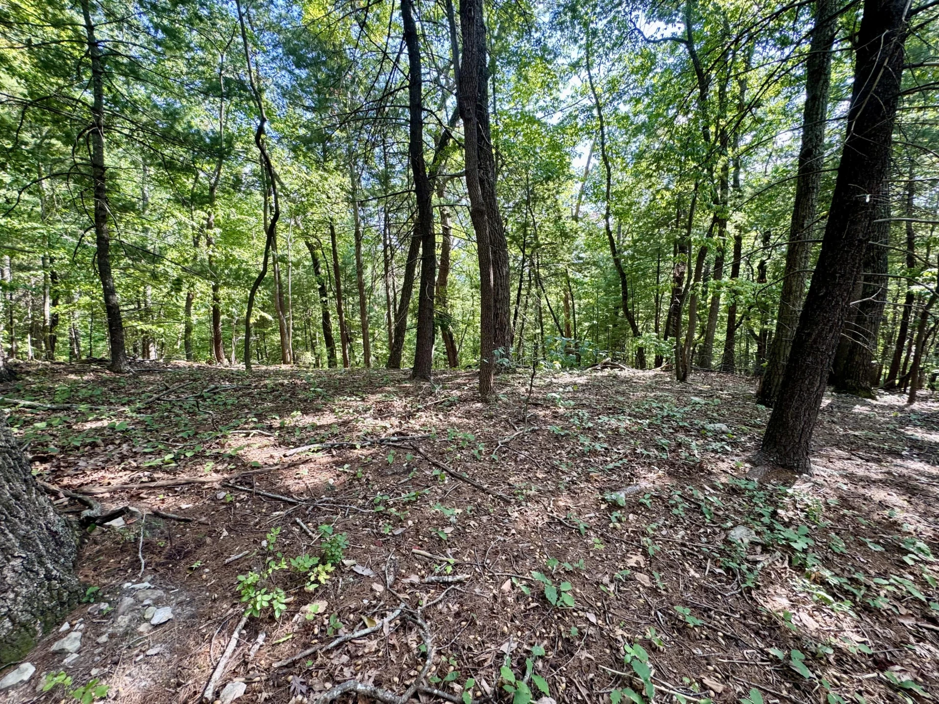 0 Allie LN - Photo 10