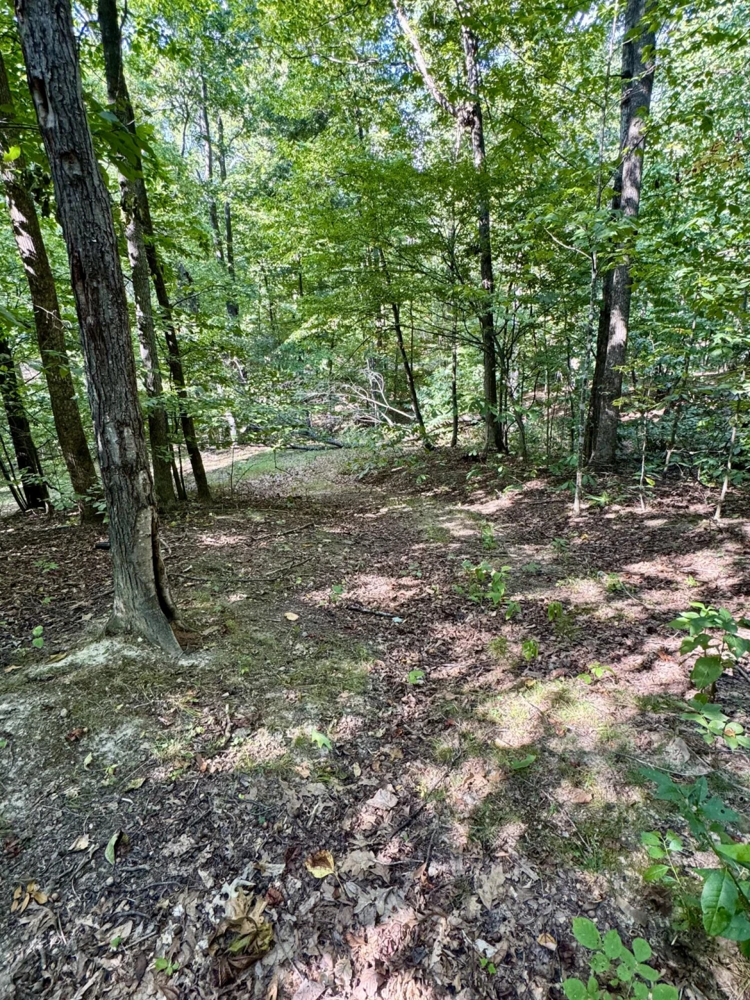 0 Allie LN - Photo 13