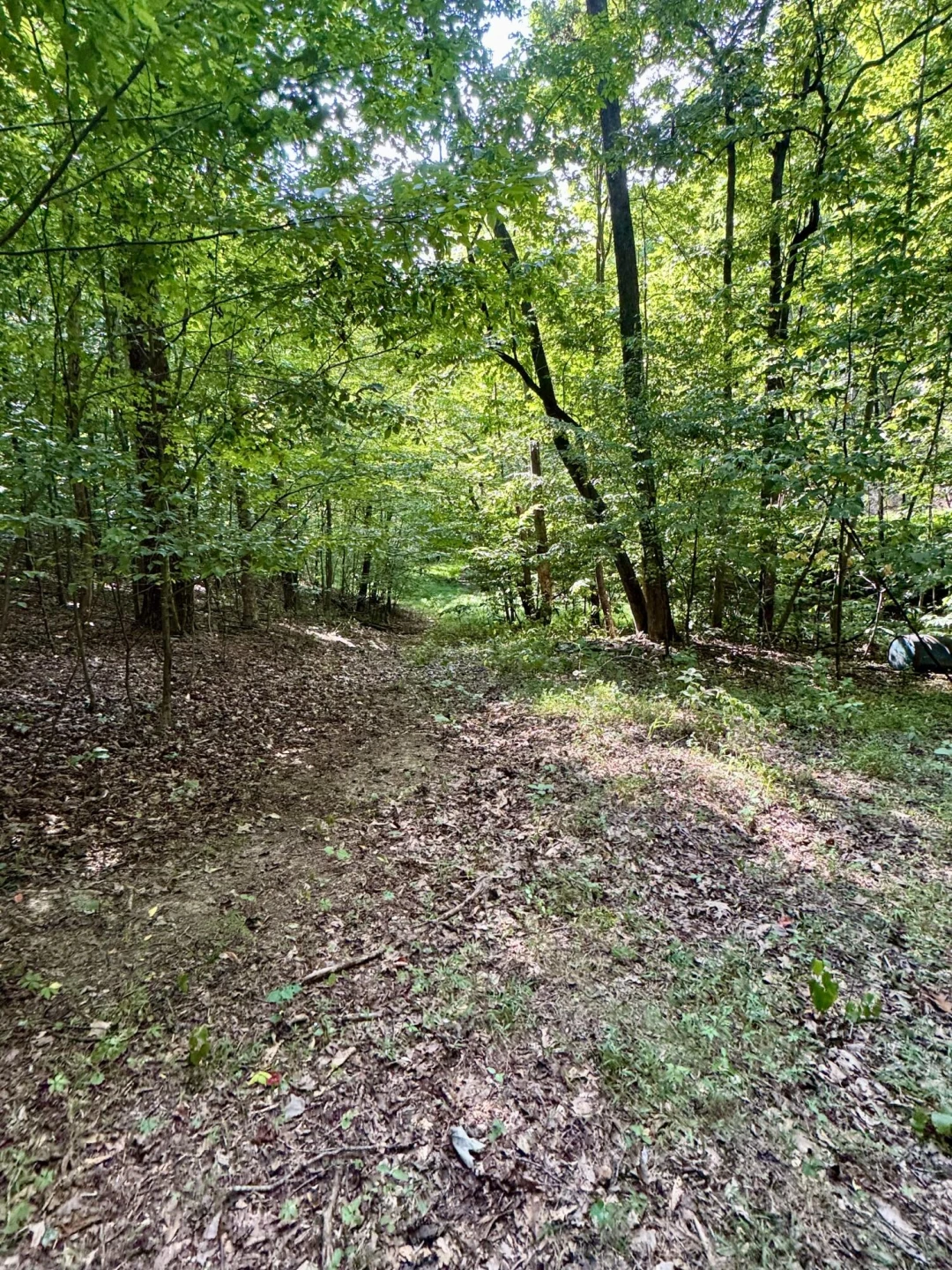 0 Allie LN - Photo 14