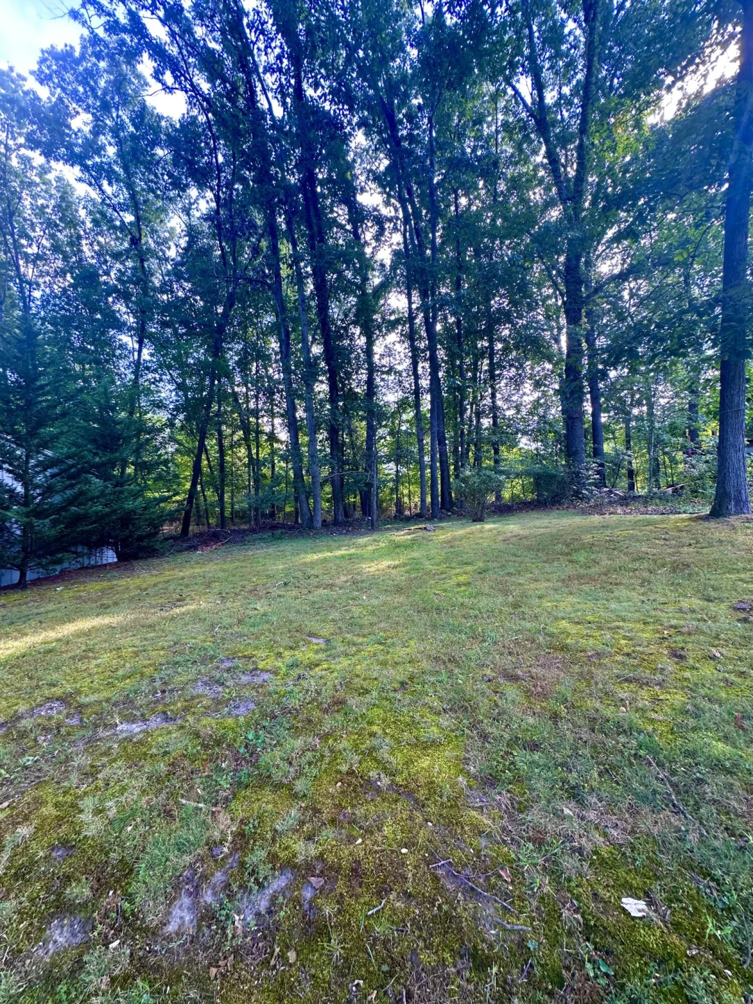 1905 Oakwood DR - Photo 8