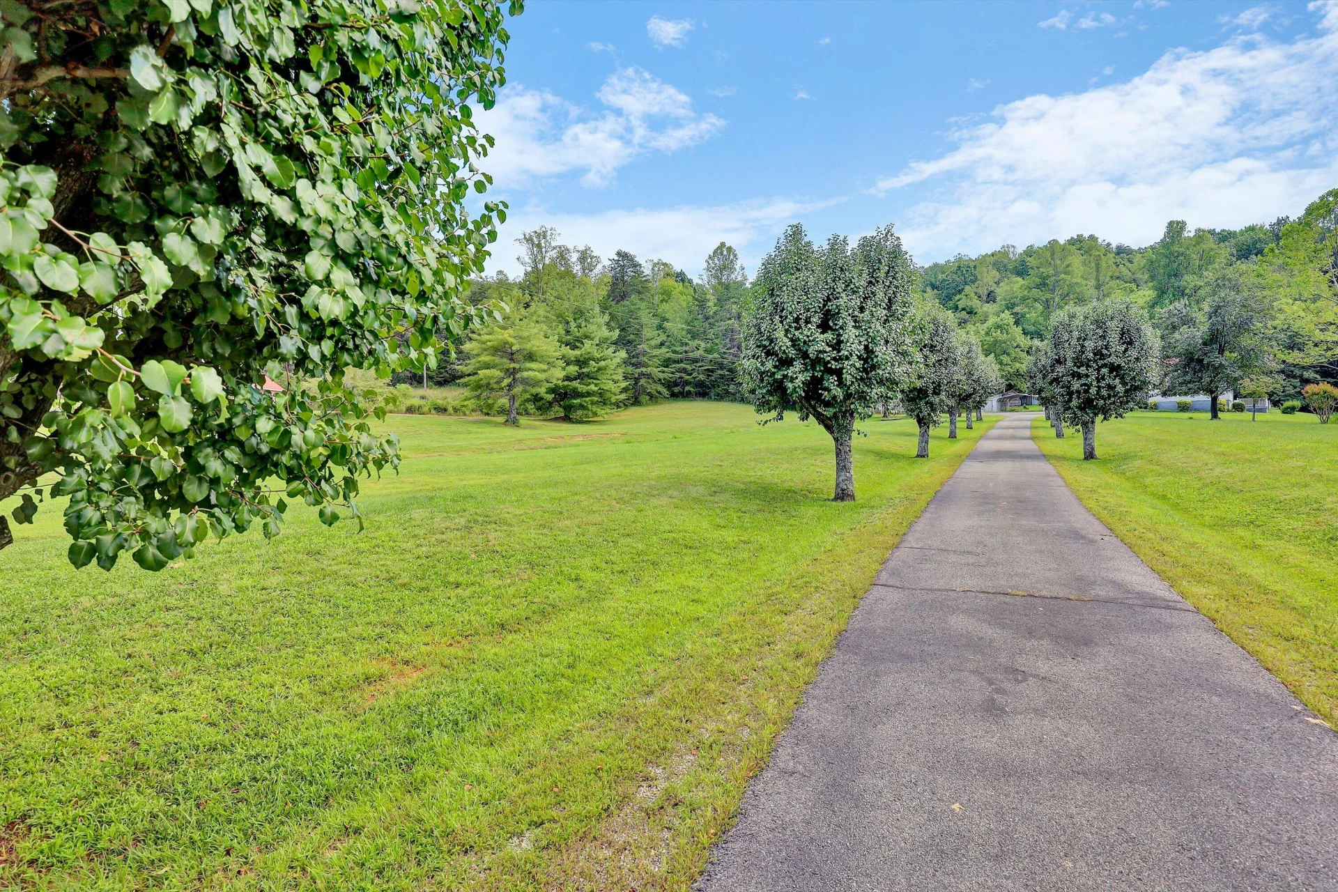 3668 VIRGIL H GOODE HWY - Photo 41